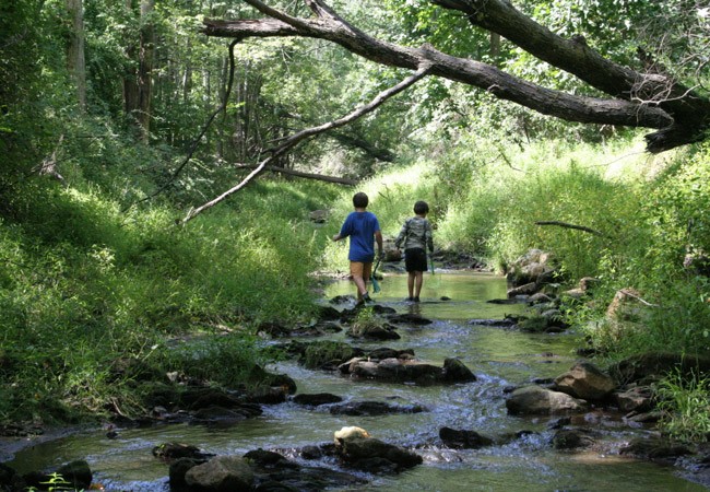 Woodville-Picnic-Site-Hoekville