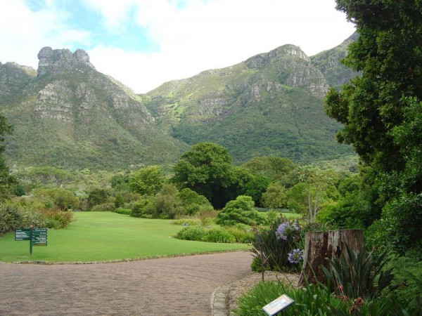 kirstenbosch-gardens